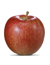 Manzana fresca de la variedad Braeburn