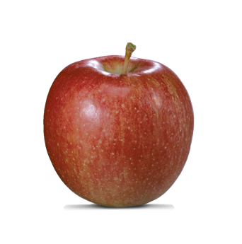 Mela fresca di varietà Braeburn