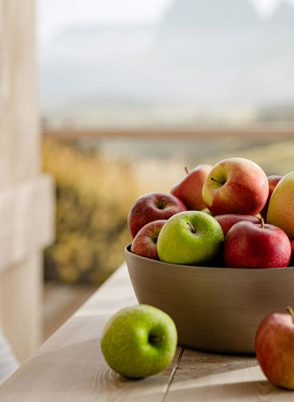 Cuenco de fruta con manzanas de distintas variedades sobre mesa de madera, paisaje montañoso al fondo