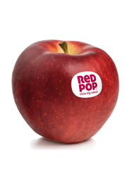Manzana fresca de la variedad Redpop