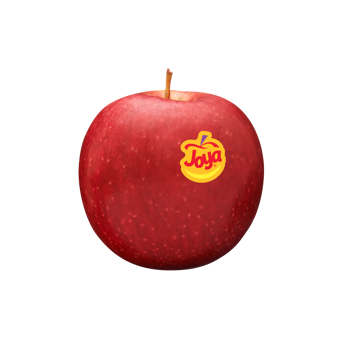 Manzana fresca de la variedad Joya