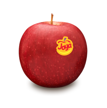 Manzana fresca de la variedad Joya