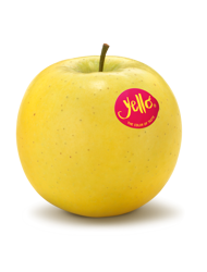 Manzana fresca de la variedad Yello