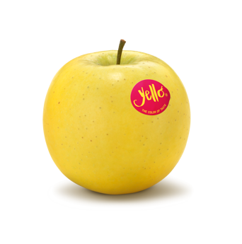 Manzana fresca de la variedad Yello