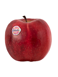 Manzana fresca de la variedad Kissabel