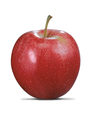 Manzana fresca de la variedad Royal Gala