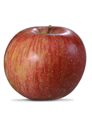 Manzana fresca de la variedad Fuji