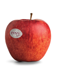 Manzana fresca de la variedad Envy