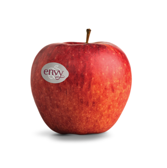 Manzana fresca de la variedad Envy