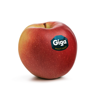 Manzana fresca de la variedad Giga