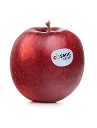 Manzana fresca de la variedad Cosmic