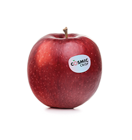 Manzana fresca de la variedad Cosmic