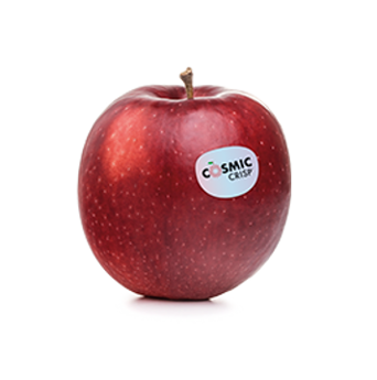 Manzana fresca de la variedad Cosmic