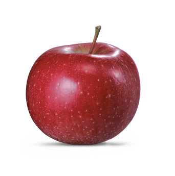 Mela fresca di varietà Morgenduft