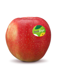 Manzana fresca de la variedad Sweettango