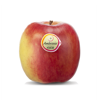 Manzana fresca de la variedad Ambrosia